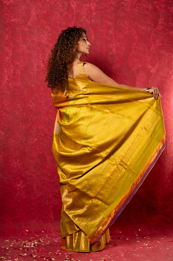 Gadwal Pure Silk Handloom Saree in Beige with Dual Tone Green Yellow Border (Limited Edition)